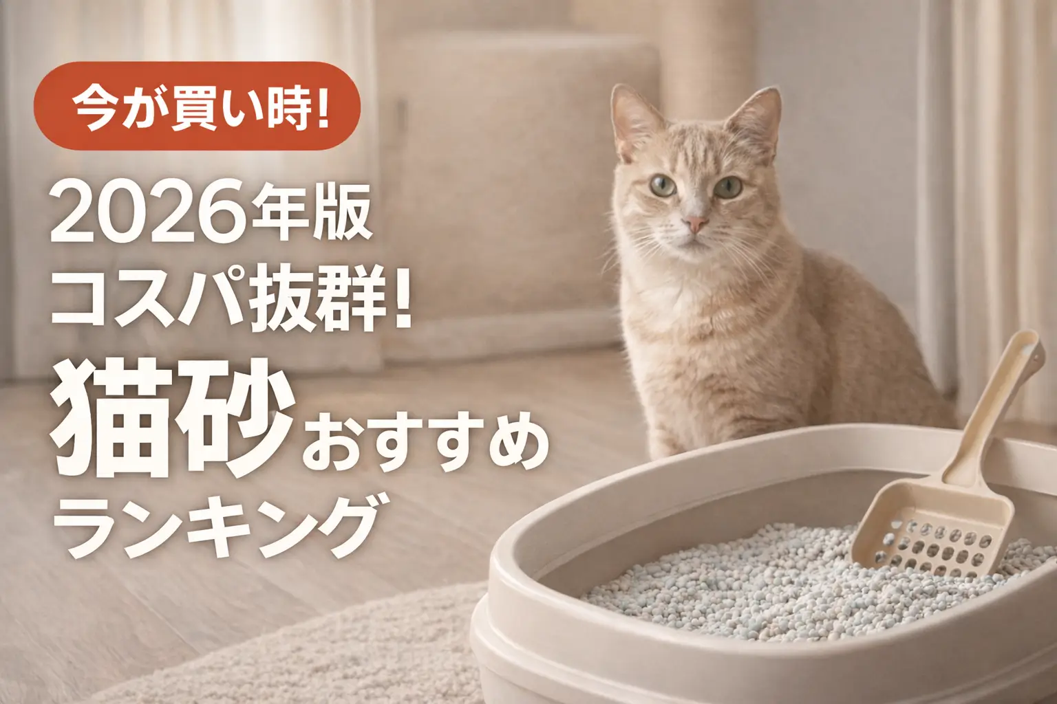 【2026年版】コスパ抜群！猫砂おすすめランキング