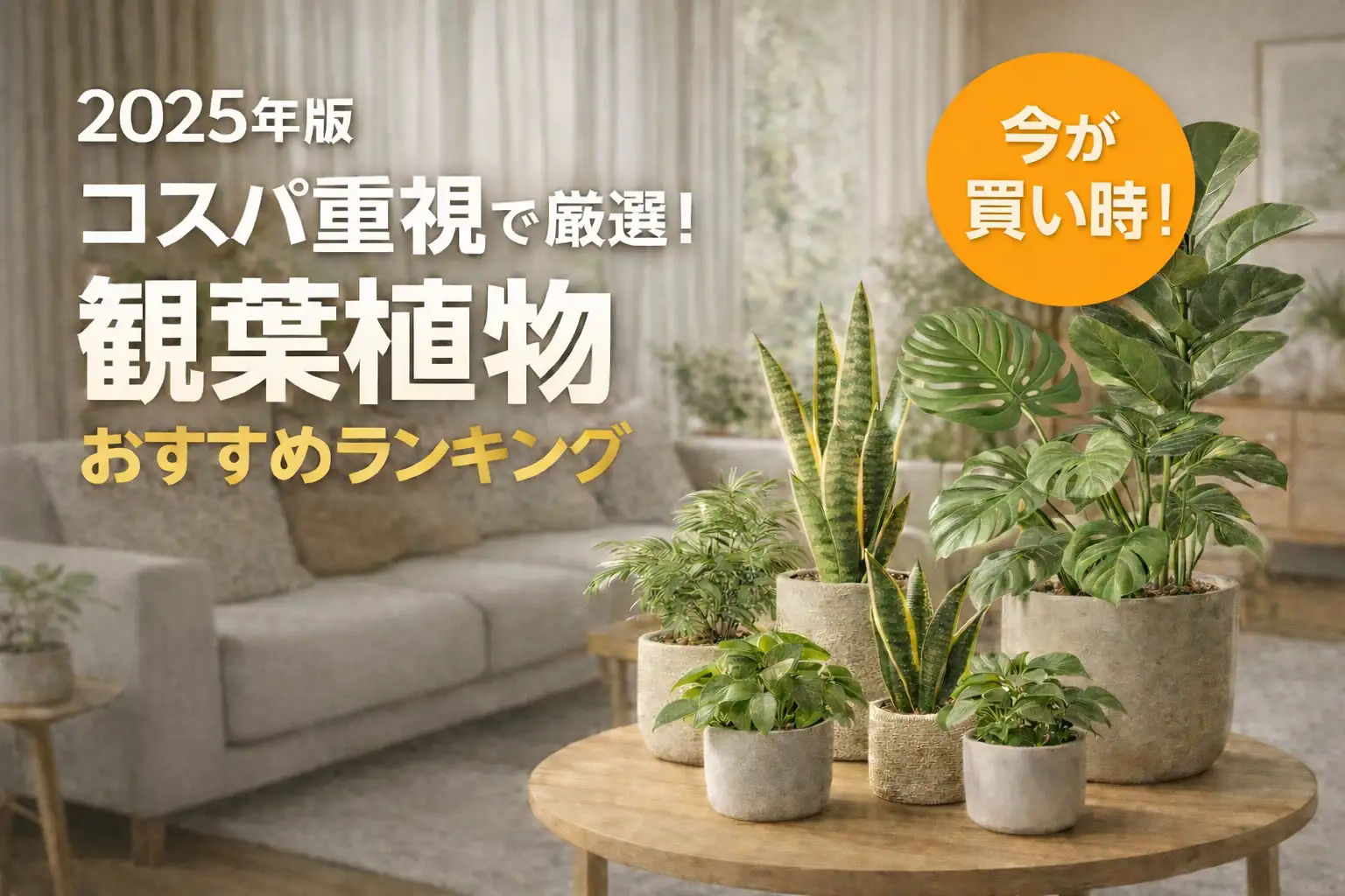 【2025年版】コスパ重視で厳選！観葉植物おすすめランキング